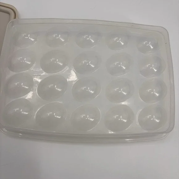 VINTAGE RUBBERMAID SERVIN' SAVER DEVILED EGG CONTAINER W/LID 20 CAPACITY - Picture 5 of 5